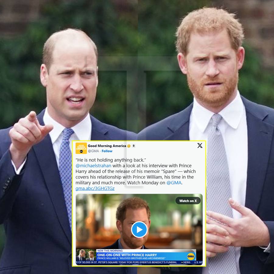 Prince Harry Calls Prince William His ‘Beloved Brother And Archnemesis