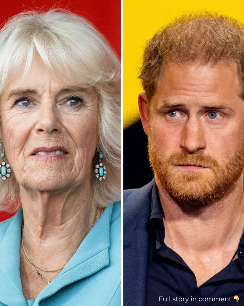 Shocking update about Queen Camilla after Prince Harry’s visit to see(02)
